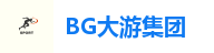 BG大游